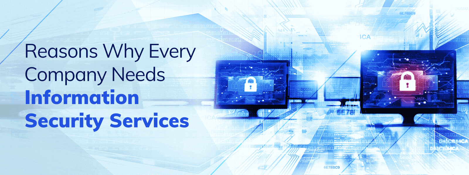 IT Security Services